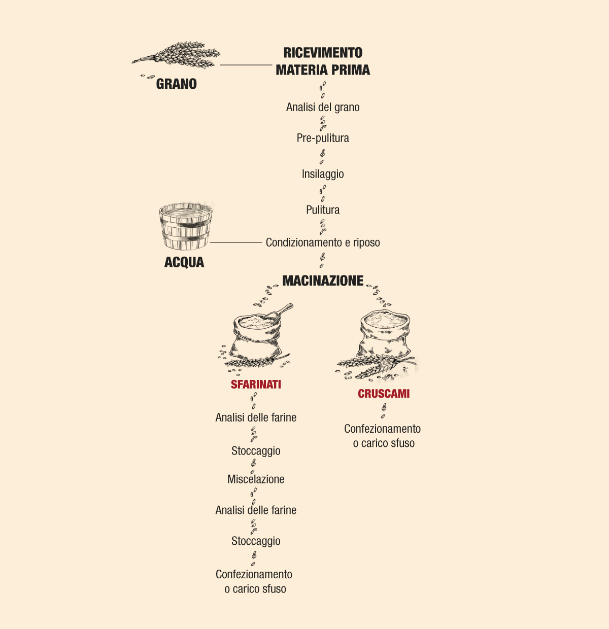 processo-produttivo-molino-andreozzi-verticale-ok https://www.molinoandreozzi.com/wp-content/uploads/2020/10/processo-produttivo-molino-andreozzi-verticale-ok.jpg